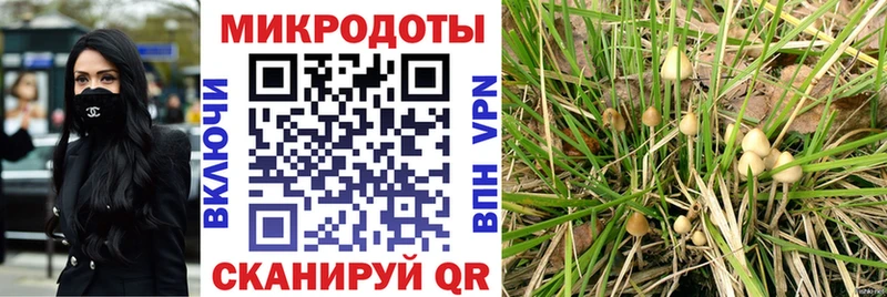 Галлюциногенные грибы мицелий  купить закладку  Спас-Деменск 